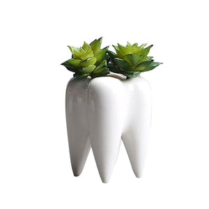 Teeth Shape Flowerpot