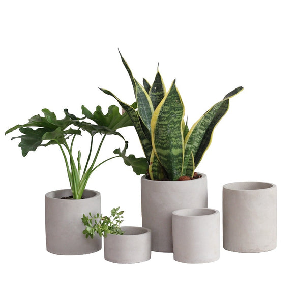 Round And Square Cement Flowerpot