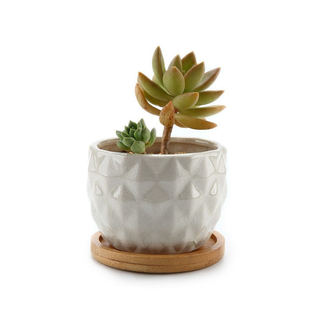 Ceramic Pineapple Flowerpot